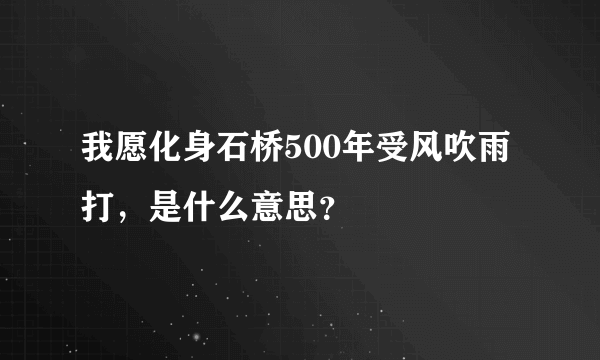 我愿化身石桥500年受风吹雨打，是什么意思？