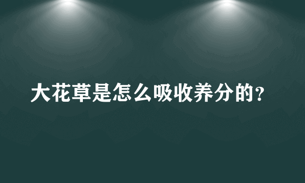 大花草是怎么吸收养分的？