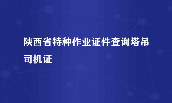 陕西省特种作业证件查询塔吊司机证