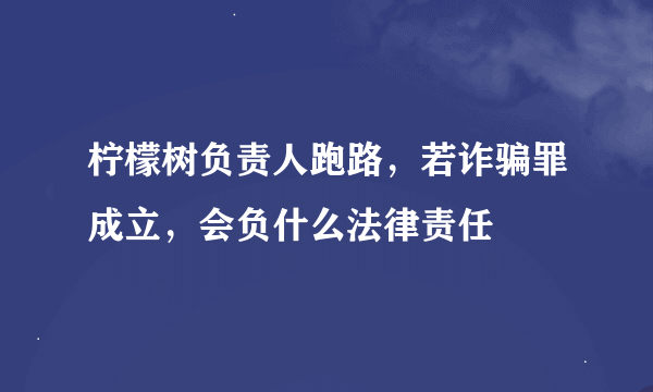 柠檬树负责人跑路，若诈骗罪成立，会负什么法律责任