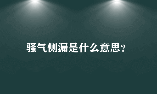 骚气侧漏是什么意思？