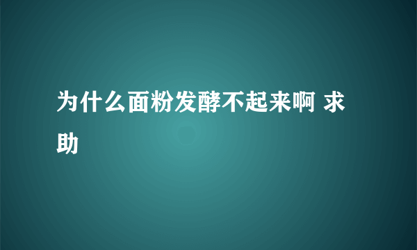 为什么面粉发酵不起来啊 求助