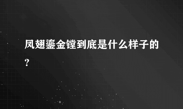 凤翅鎏金镗到底是什么样子的?