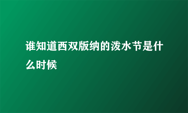 谁知道西双版纳的泼水节是什么时候