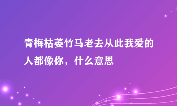 青梅枯萎竹马老去从此我爱的人都像你，什么意思