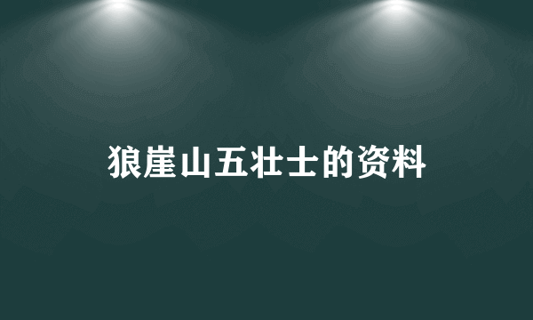 狼崖山五壮士的资料