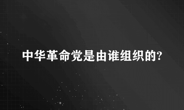 中华革命党是由谁组织的?