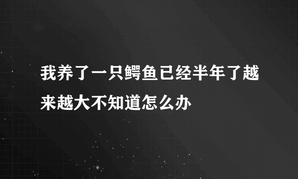 我养了一只鳄鱼已经半年了越来越大不知道怎么办