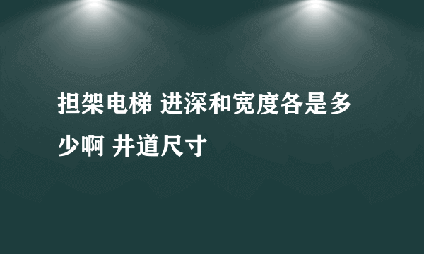 担架电梯 进深和宽度各是多少啊 井道尺寸