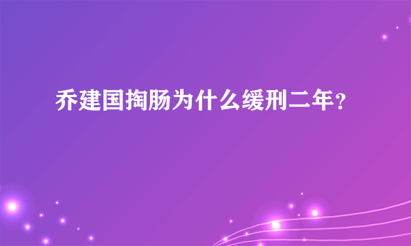 乔建国掏肠为什么缓刑二年？