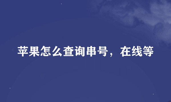 苹果怎么查询串号，在线等