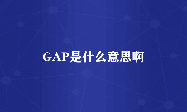 GAP是什么意思啊