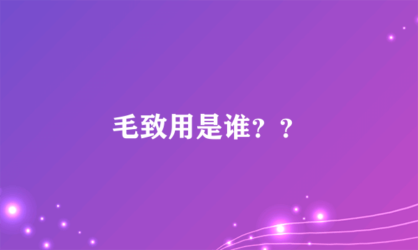 毛致用是谁？？