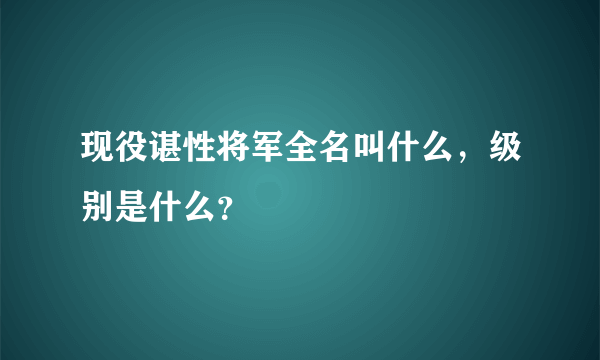 现役谌性将军全名叫什么，级别是什么？