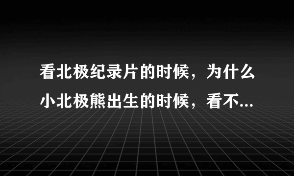 看北极纪录片的时候，为什么小北极熊出生的时候，看不到爸爸哦？