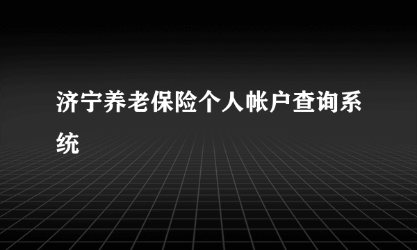 济宁养老保险个人帐户查询系统