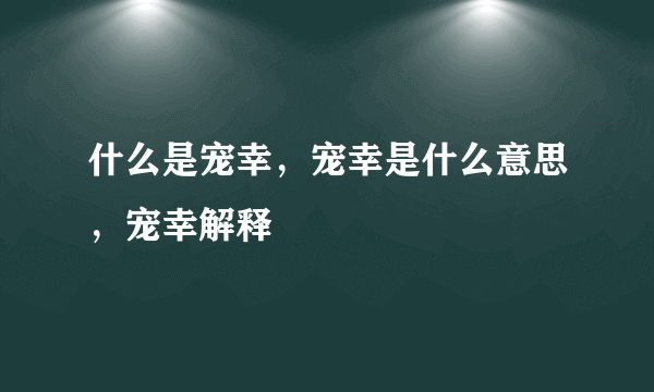 什么是宠幸，宠幸是什么意思，宠幸解释