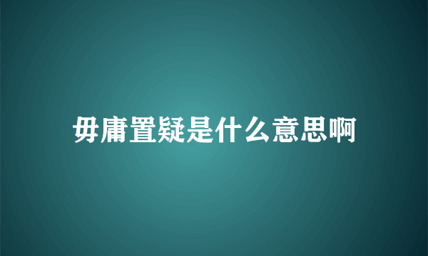 毋庸置疑是什么意思啊