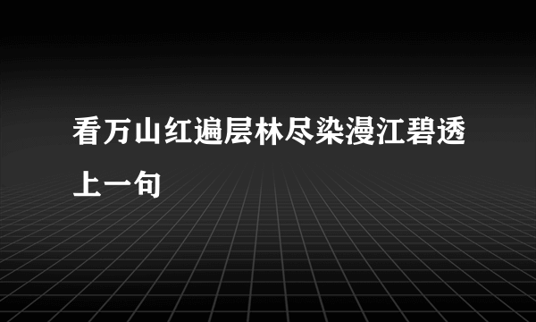 看万山红遍层林尽染漫江碧透上一句