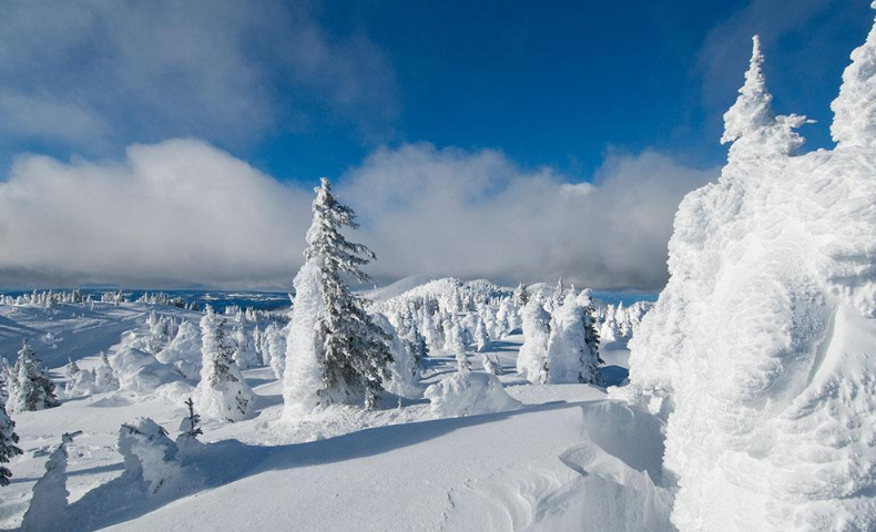 “雪崩时，没有一片雪花觉得自己有责任”这句话的出处是哪里