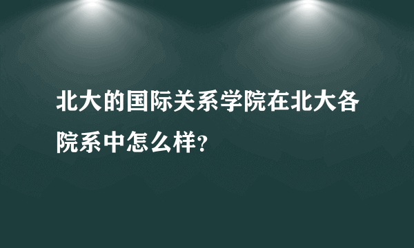 北大的国际关系学院在北大各院系中怎么样？