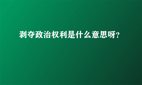 剥夺政治权利是什么意思呀？