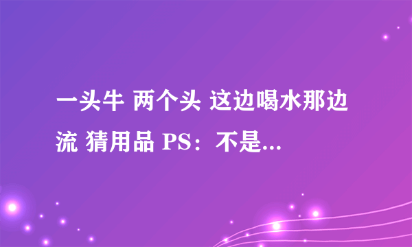 一头牛 两个头 这边喝水那边流 猜用品 PS：不是抽水机啊……