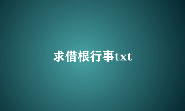 求借根行事txt