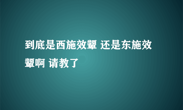 到底是西施效颦 还是东施效颦啊 请教了