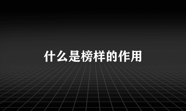 什么是榜样的作用