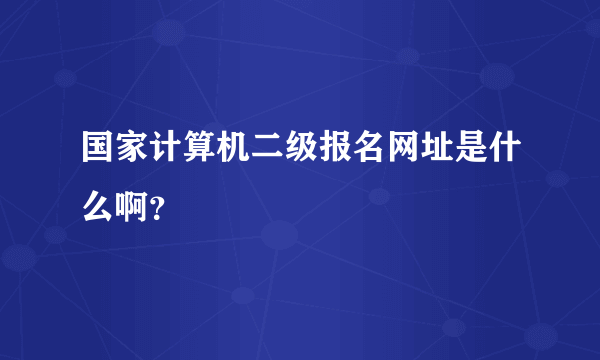 国家计算机二级报名网址是什么啊？