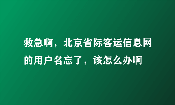 救急啊，北京省际客运信息网的用户名忘了，该怎么办啊