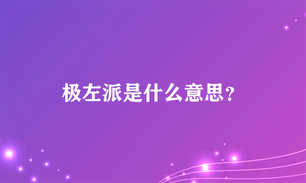 极左派是什么意思？