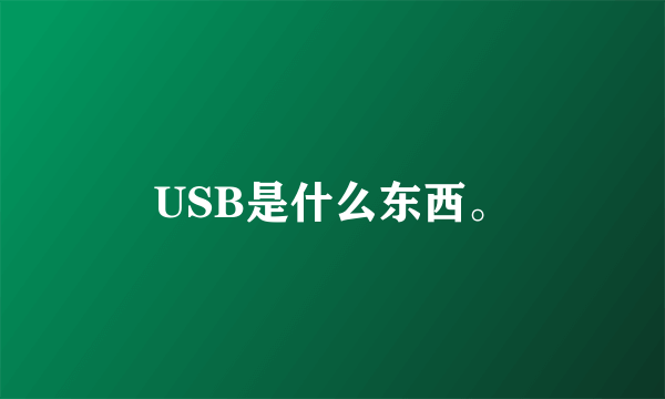 USB是什么东西。