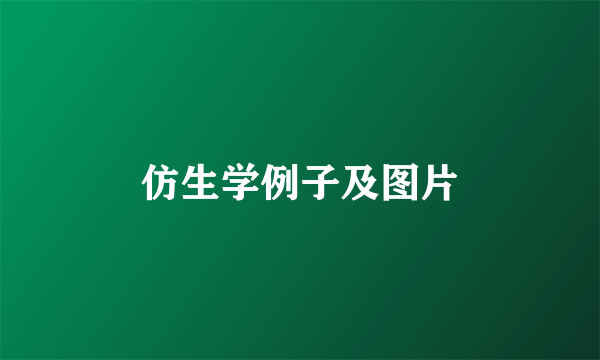 仿生学例子及图片