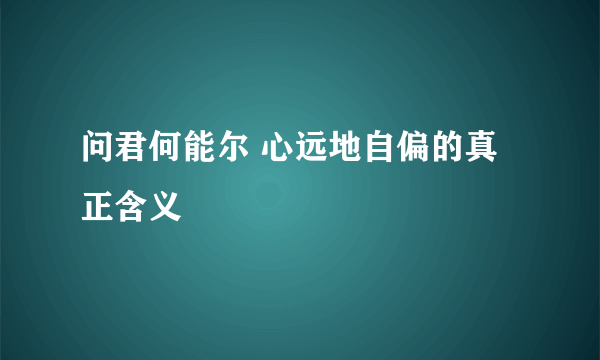 问君何能尔 心远地自偏的真正含义