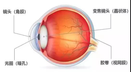 眼睛看看东西有重影是怎么回事？