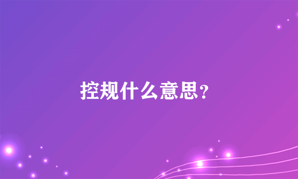 控规什么意思？