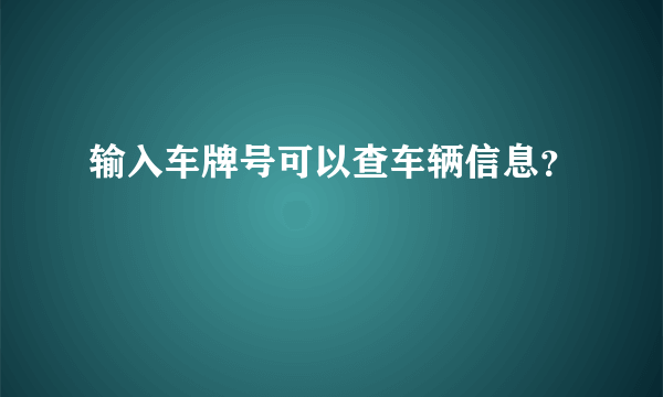 输入车牌号可以查车辆信息？