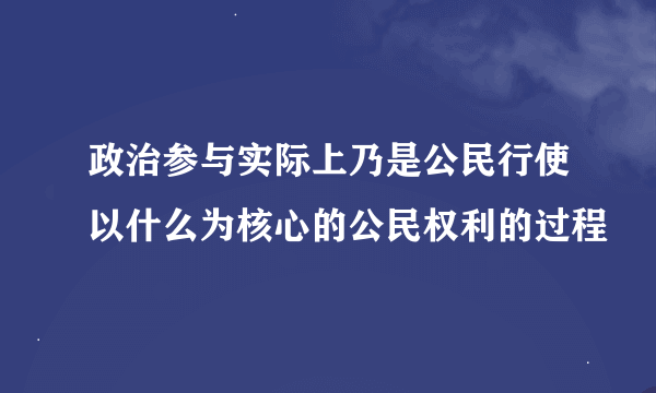 政治参与实际上乃是公民行使以什么为核心的公民权利的过程