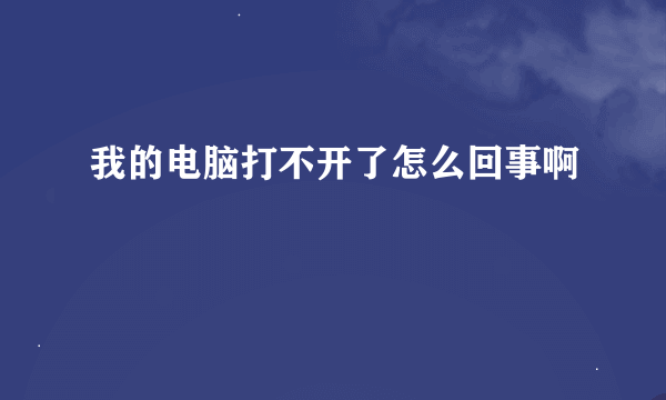 我的电脑打不开了怎么回事啊