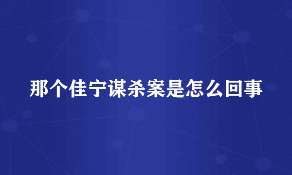 那个佳宁谋杀案是怎么回事