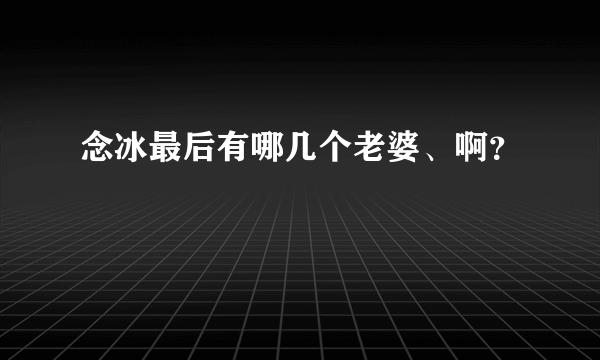 念冰最后有哪几个老婆、啊？