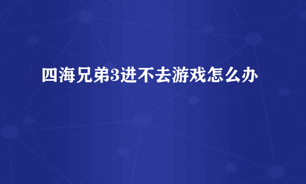 四海兄弟3进不去游戏怎么办