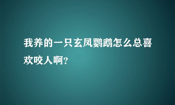 我养的一只玄凤鹦鹉怎么总喜欢咬人啊？