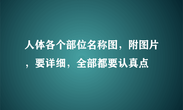 人体各个部位名称图，附图片，要详细，全部都要认真点