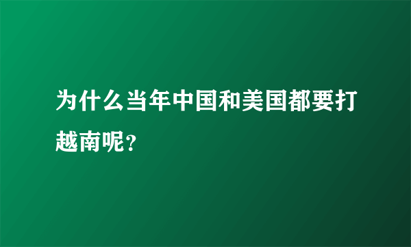 为什么当年中国和美国都要打越南呢？