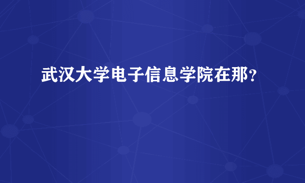 武汉大学电子信息学院在那？