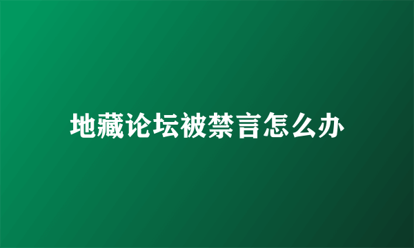 地藏论坛被禁言怎么办