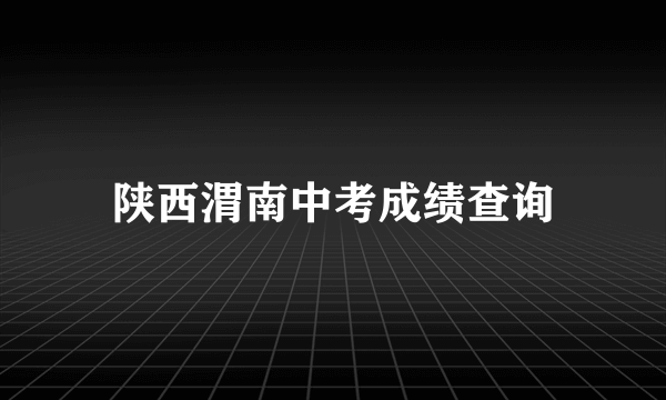 陕西渭南中考成绩查询